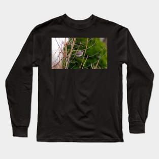 Dark-eyed Junco Perched On A Small Branch Long Sleeve T-Shirt